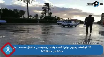 غدًا توقعات بهبوب رياح نشطة وأمطار رعدية على مناطق محددة.. هل ستشمل منطقتك؟